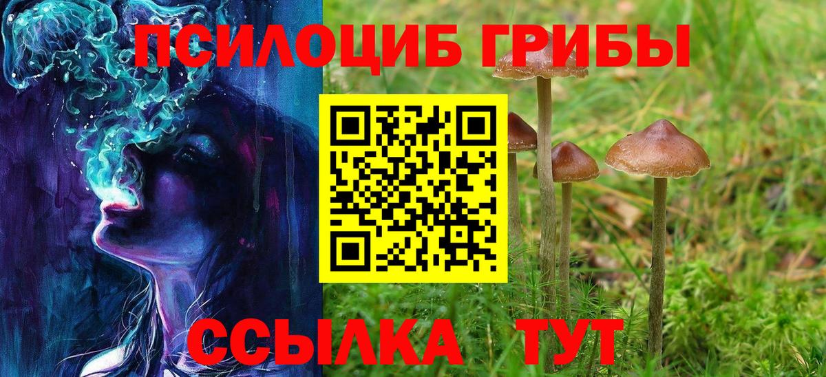 Дмитров  Галлюциногенные грибы Psilocybe  Вход с VPN  Галлюциногенные грибы мицелий 
